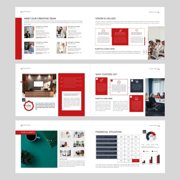 Business Brochure Design